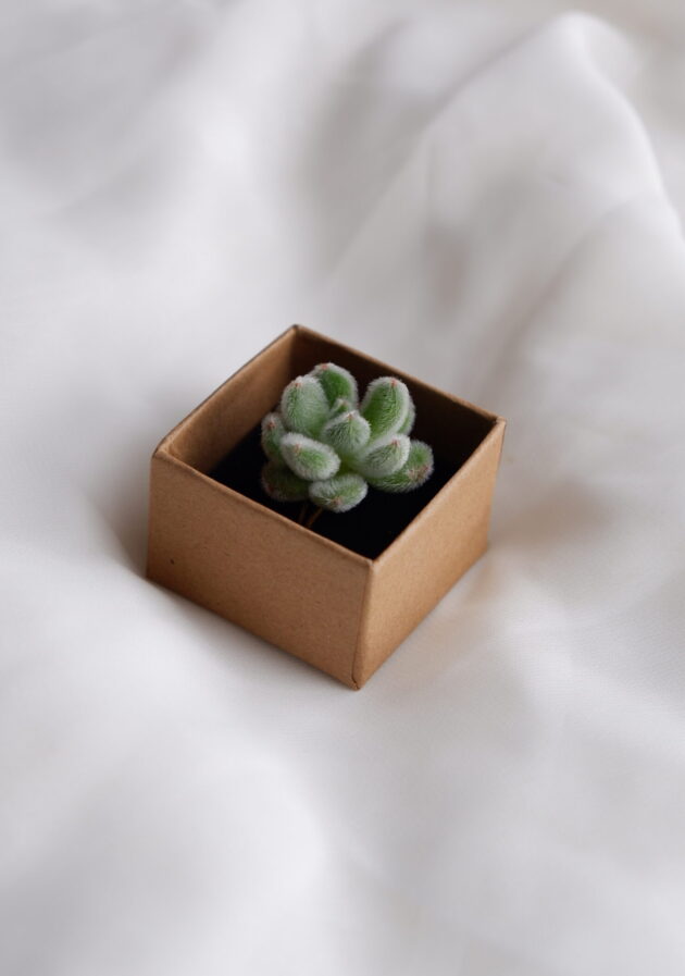 an adjustable ring with a green succulent with a velvet texture on it